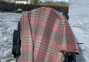 rez10056_1